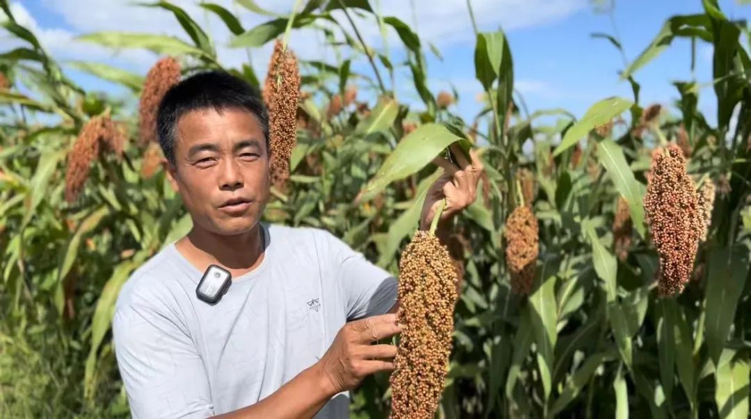奔驰宝马电玩城游戏机